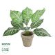 GloboStar® Artificial Garden ZEBRA POTTED PLANT 20898 Διακοσμητικό Φυτό Ζέμπρα Φ40 x Υ33cm