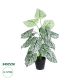 GloboStar® Artificial Garden CALADIUM 20908 Διακοσμητικό Φυτό Καλάδια Υ75cm