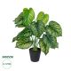 GloboStar® Artificial Garden CALATHEA PLANT 20912 Διακοσμητικό Φυτό Καλαθέα Φ55 x Υ75cm