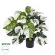 GloboStar® Artificial Garden ALBINO MONSTERA PLANT 20925 - Διακοσμητικό Φυτό Λευκή Μονστέρα Φ70 x Υ75cm