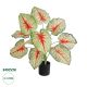 GloboStar® Artificial Garden CALADIUM PLANT 20932 Διακοσμητικό Φυτό Καλάντιουμ Φ58 x Υ55cm