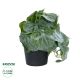 GloboStar® Artificial Garden STRAWBERRY PLANT 20950 Διακοσμητικό Φυτό Φραουλιά Φ23 x Υ16cm