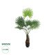 GloboStar® Artificial Garden SERENOA PALM PLANT 20971 Διακοσμητικό Φυτό Φοίνικα Σερενόα Φ60 x Υ140cm