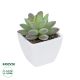 GloboStar® Artificial Garden  SUCCULENT SEDEVERIA POTTED PLANT 20975 Διακοσμητικό Φυτό Φοίνικα Σερενόα Φ7 x Υ8cm