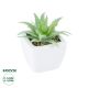 GloboStar® Artificial Garden SUCCULENT ALOE LOTUS PLANT 20976 Διακοσμητικό Φυτό Παχύφυτο Λωτός Αλόης Φ8 x Υ8cm