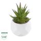 GloboStar® Artificial Garden SUCCULENT ALOE 20982 Διακοσμητικό Φυτό Παχύφυτο Αλόη Υ11cm