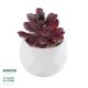 GloboStar® Artificial Garden SUCCULENT CRASSULA 21004 Διακοσμητικό Φυτό Παχύφυτο Κράσουλα Υ9.5cm