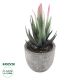 GloboStar® Artificial Garden SUCCULENT ALOE 21008 Διακοσμητικό Φυτό Παχύφυτο Αλόη Υ14cm