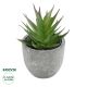 GloboStar® Artificial Garden SUCCULENT ALOE 21010 Διακοσμητικό Φυτό Παχύφυτο Αλόη Υ11cm