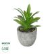 GloboStar® Artificial Garden SUCCULENT ALOE POTTED PLANT 21012 Διακοσμητικό Φυτό Αλόη  Φ9 x Υ13cm