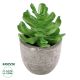 GloboStar® Artificial Garden SUCCULENT CRASSULA 21014 Διακοσμητικό Φυτό Παχύφυτο Κράσουλα Υ11.5cm