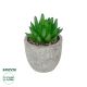 GloboStar® Artificial Garden SUCCULENT SEDEVERIA POTTED PLANT 21019 Διακοσμητικό Φυτό Σεδεβέρια  Φ6,5 x Υ9cm