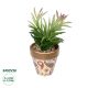 GloboStar® Artificial Garden SUCCULENT CRASSULA POTTED PLANT 21046 Διακοσμητικό Φυτό Κρασούλα  Φ12 x Υ20cm