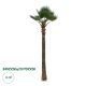 GloboStar® Artificial Garden PLANT PALM TREE 21057 Διακοσμητικό Δέντρο Φοίνικα  Φ240 x Υ600cm