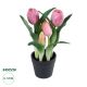 GloboStar® Artificial Garden PINK TULIP 21092 Διακοσμητικό Φυτό Ροζ Τουλίπα Υ23cm