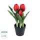 GloboStar® Artificial Garden RED TULIP 21094 Διακοσμητικό Φυτό Κόκκινη Τουλίπα Υ23cm